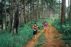 BIB: 
                            <button type="button" onclick="openModal(25663776)" class="btn btn-primary btn-sm float-right btn-popup" data-toggle="modal" data-target=".modal-high-quality">
                        <i class="fas fa-shopping-cart"></i> Add to Cart
                    </button>
                                            <button type="button" onclick="isThisMe(25663776, true)" class="btn btn-success btn-sm float-right btn-popup btn-isme hidden" data-toggle="tooltip" data-placement="bottom" title="นี่คือรูปของคุณใช่ไหม คลิกที่นี่เพื่อเอาเข้าอัลบั้ม">
                        <i class="fas fa-plus"></i> Add to album
                    </button>
                    <button type="button" onclick="isThisMe(25663776, false)" class="btn btn-warning btn-sm float-right btn-popup btn-isnotme hidden">
                        <i class="fas fa-ban"></i> Remove from album
                    </button>